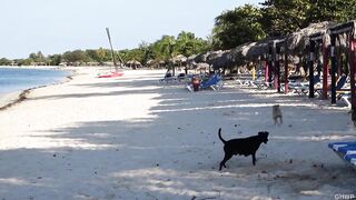 Playa Ancon Cuba прогулка по пляжу старый Тринидад и интересно есть ли здесь рыбалка