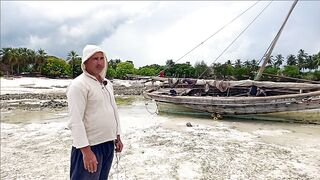 Плавание с дельфинами Zanzibar Kizimkazi деревня у моря и какие вокруг есть туры на морскую рыбалку