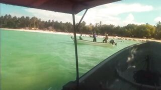 Плавание с дельфинами Zanzibar Kizimkazi деревня у моря и какие вокруг есть туры на морскую рыбалку