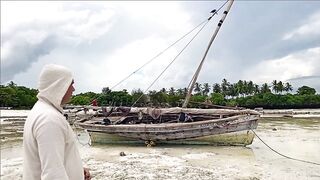 Плавание с дельфинами Zanzibar Kizimkazi деревня у моря и какие вокруг есть туры на морскую рыбалку