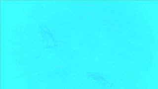 Плавание с дельфинами Zanzibar Kizimkazi деревня у моря и какие вокруг есть туры на морскую рыбалку