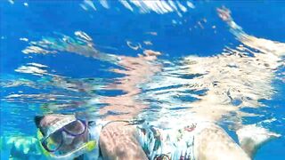 Плавание с дельфинами Zanzibar Kizimkazi деревня у моря и какие вокруг есть туры на морскую рыбалку