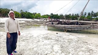Плавание с дельфинами Zanzibar Kizimkazi деревня у моря и какие вокруг есть туры на морскую рыбалку