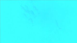 Плавание с дельфинами Zanzibar Kizimkazi деревня у моря и какие вокруг есть туры на морскую рыбалку