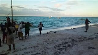 Плавание с дельфинами Zanzibar Kizimkazi деревня у моря и какие вокруг есть туры на морскую рыбалку