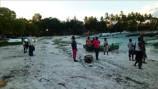 Плавание с дельфинами Zanzibar Kizimkazi деревня у моря и какие вокруг есть туры на морскую рыбалку