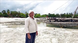 Плавание с дельфинами Zanzibar Kizimkazi деревня у моря и какие вокруг есть туры на морскую рыбалку