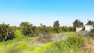 Гюзельюрт районы Северного Кипра спокойная жизнь на холмах цитрусовые сады и бирюзовое море рядом