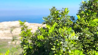 Гюзельюрт районы Северного Кипра спокойная жизнь на холмах цитрусовые сады и бирюзовое море рядом