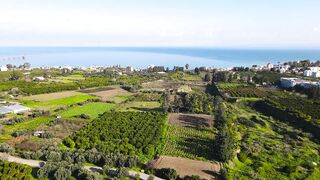 Гюзельюрт районы Северного Кипра спокойная жизнь на холмах цитрусовые сады и бирюзовое море рядом