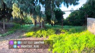 Гюзельюрт районы Северного Кипра спокойная жизнь на холмах цитрусовые сады и бирюзовое море рядом