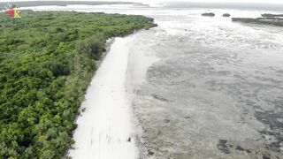 Pemba Island Zanzibar тихие пляжи мангровые заросли и идея поездки на морскую рыбалку