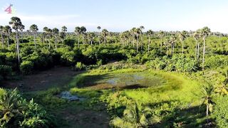 Pemba Island Zanzibar тихие пляжи мангровые заросли и идея поездки на морскую рыбалку