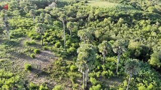 Pemba Island Zanzibar тихие пляжи мангровые заросли и идея поездки на морскую рыбалку