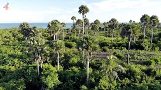 Pemba Island Zanzibar тихие пляжи мангровые заросли и идея поездки на морскую рыбалку