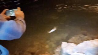 Night fishing in Bahrain ночная морская рыбалка в заливе супер клёв и яркие огни набережной