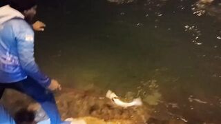 Night fishing in Bahrain ночная морская рыбалка в заливе супер клёв и яркие огни набережной