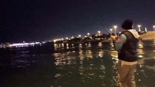 Night fishing in Bahrain ночная морская рыбалка в заливе супер клёв и яркие огни набережной