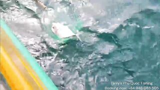 Морская рыбалка на Phu Quoc Vietnam тур Larrys Phu Quoc Fishing за крупной океанской рыбой