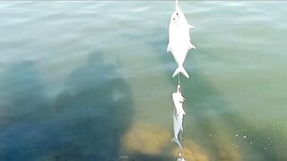 Пятничная морская рыбалка в Бахрейне - Friday Fishing и расслабленные Bahrain vibez у моря