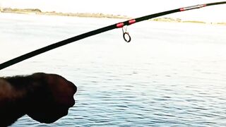 Пятничная морская рыбалка в Бахрейне - Friday Fishing и расслабленные Bahrain vibez у моря