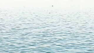 Пятничная морская рыбалка в Бахрейне - Friday Fishing и расслабленные Bahrain vibez у моря