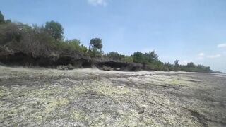 Занзибар Индийский океан на парусной лодке и пляж Michamvi спокойный день у моря