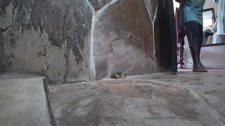 Занзибар Индийский океан на парусной лодке и пляж Michamvi спокойный день у моря