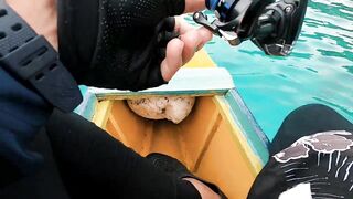 Cebu ultralight рыбалка на неизвестной точке поиск нового спота и первых поклевок