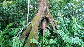 Pemba Island Tanzania 2024: пляжи мангровые заросли и думаем стоит ли сюда ехать на морскую рыбалку
