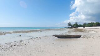 Pemba Island Tanzania 2024: пляжи мангровые заросли и думаем стоит ли сюда ехать на морскую рыбалку