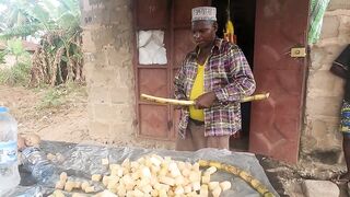 Pemba Island Tanzania 2024: пляжи мангровые заросли и думаем стоит ли сюда ехать на морскую рыбалку