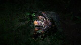 Pemba Island Tanzania 2024: пляжи мангровые заросли и думаем стоит ли сюда ехать на морскую рыбалку