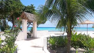 Pemba Island Tanzania 2024: пляжи мангровые заросли и думаем стоит ли сюда ехать на морскую рыбалку