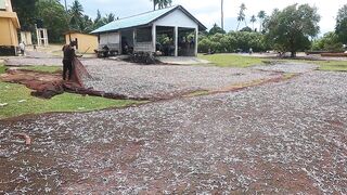 Pemba Island Tanzania 2024: пляжи мангровые заросли и думаем стоит ли сюда ехать на морскую рыбалку