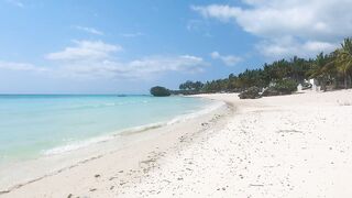 Pemba Island Tanzania 2024: пляжи мангровые заросли и думаем стоит ли сюда ехать на морскую рыбалку