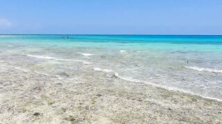 Pemba Island Tanzania 2024: пляжи мангровые заросли и думаем стоит ли сюда ехать на морскую рыбалку