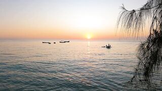 Pemba Island Tanzania 2024: пляжи мангровые заросли и думаем стоит ли сюда ехать на морскую рыбалку