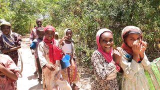 Pemba Island Tanzania 2024: пляжи мангровые заросли и думаем стоит ли сюда ехать на морскую рыбалку