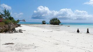 Pemba Island Tanzania 2024: пляжи мангровые заросли и думаем стоит ли сюда ехать на морскую рыбалку