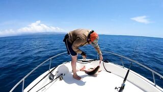 Gulf of Tadjoura Джибути: GT и red bass на топвотер и советы по морской ловле