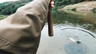 Spinibarbus hollandi рыбалка на Хайнане китайский пруд редкая рыба и размеренный деревенский день