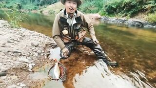 Spinibarbus hollandi рыбалка на Хайнане китайский пруд редкая рыба и размеренный деревенский день