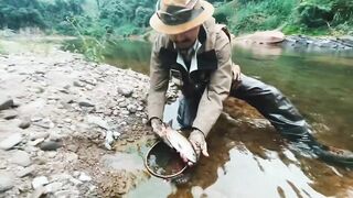 Spinibarbus hollandi рыбалка на Хайнане китайский пруд редкая рыба и размеренный деревенский день