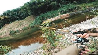 Spinibarbus hollandi рыбалка на Хайнане китайский пруд редкая рыба и размеренный деревенский день