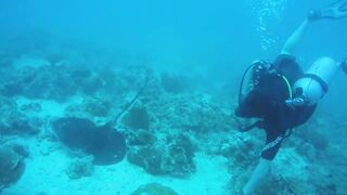 Gulf of Tadjoura берег Джибути лазурная вода лодки рыбаков и дельфины в заливе