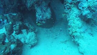 Gulf of Tadjoura берег Джибути лазурная вода лодки рыбаков и дельфины в заливе