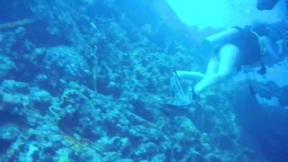 Gulf of Tadjoura берег Джибути лазурная вода лодки рыбаков и дельфины в заливе