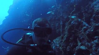 Gulf of Tadjoura берег Джибути лазурная вода лодки рыбаков и дельфины в заливе