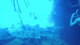 Gulf of Tadjoura берег Джибути лазурная вода лодки рыбаков и дельфины в заливе